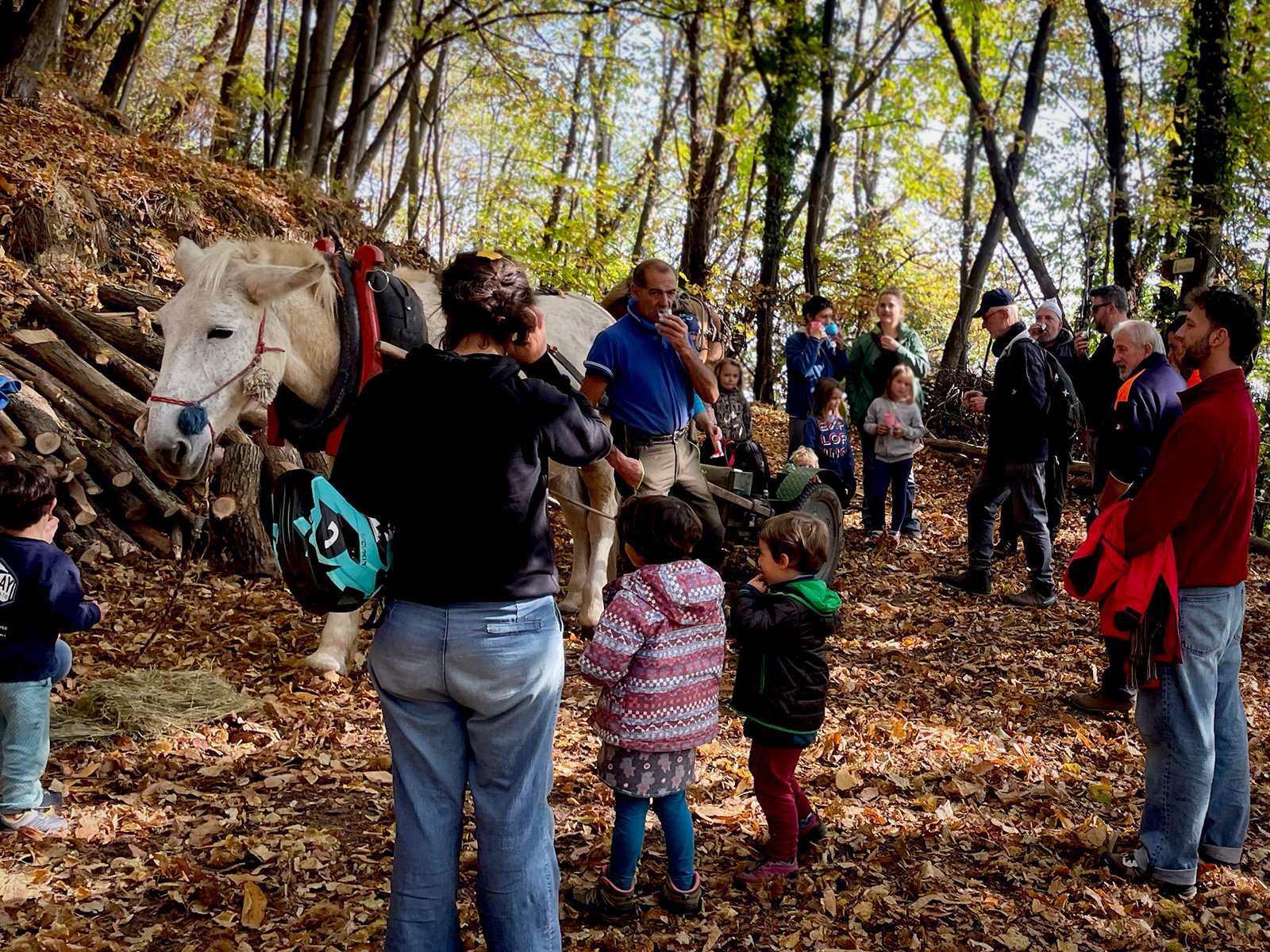 Esbosco con i muli Screening of The Witness Trauma by Taya Zubova at Stone Oven House