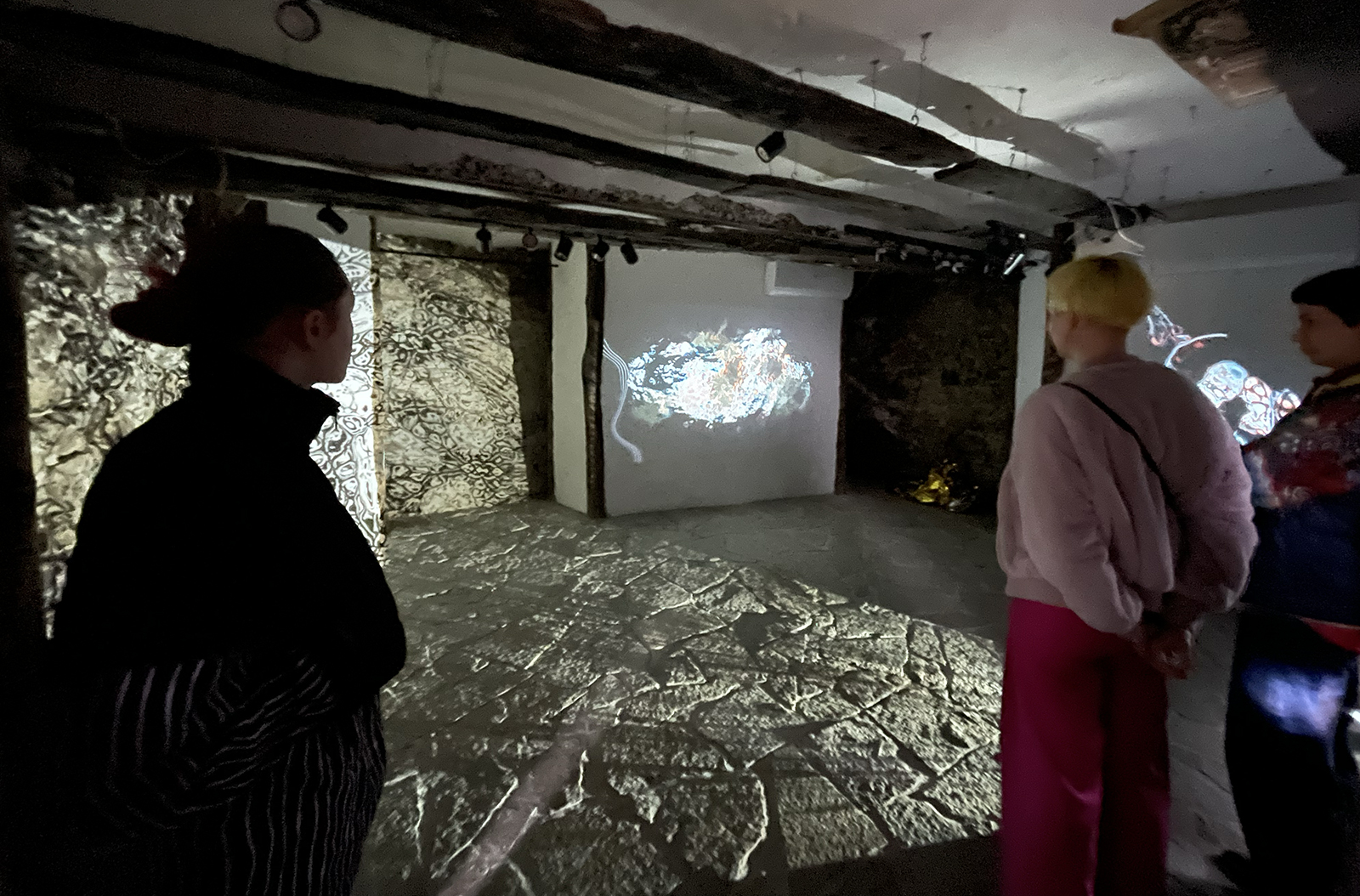 Lev Nikitin Screening of The Witness Trauma by Taya Zubova at Stone Oven House