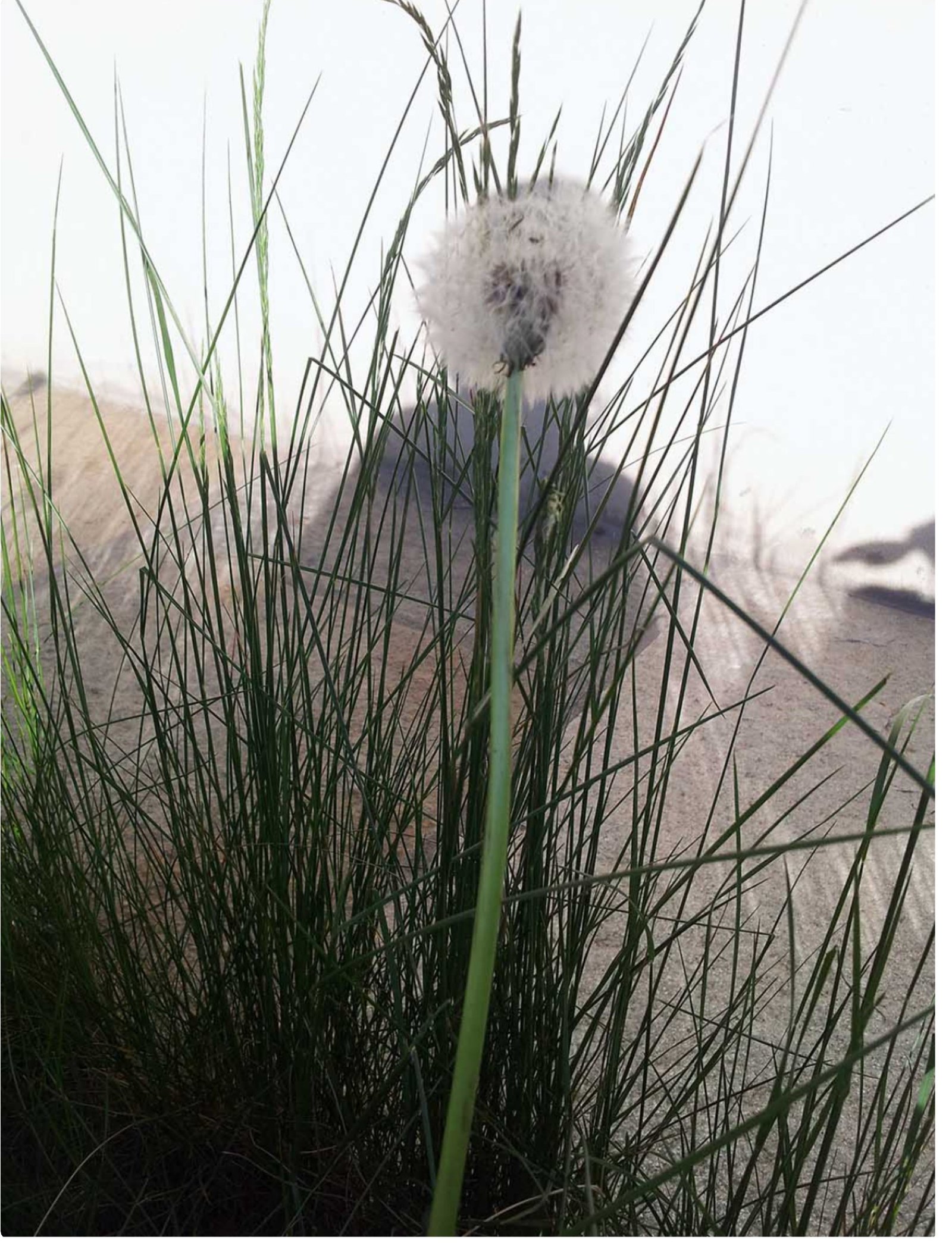 Visione, photography and dance retreat, 23-25 October 2026